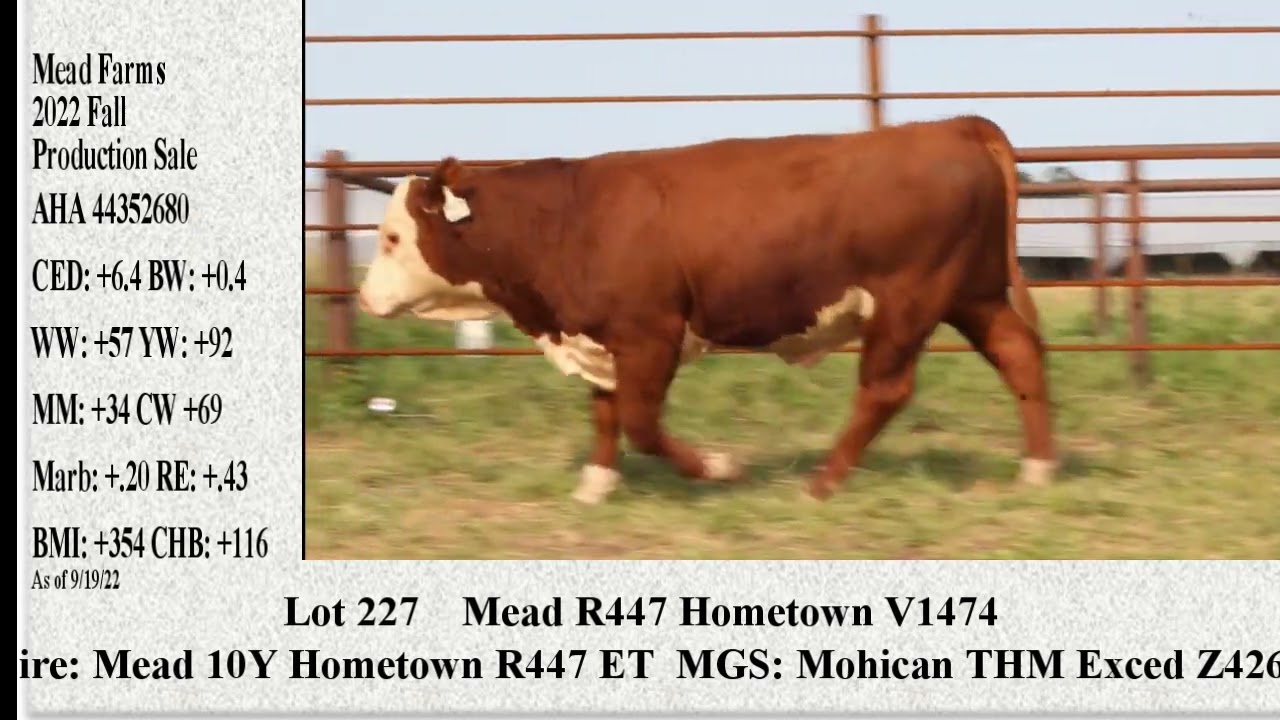 بايرن ميونيخ في موسم 2023: التحديات والطموحات