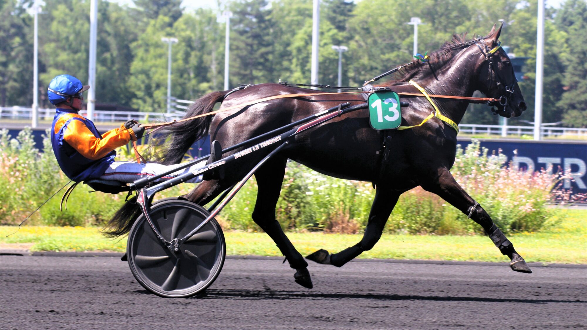 أهمية التوقعات في عالم الرياضة